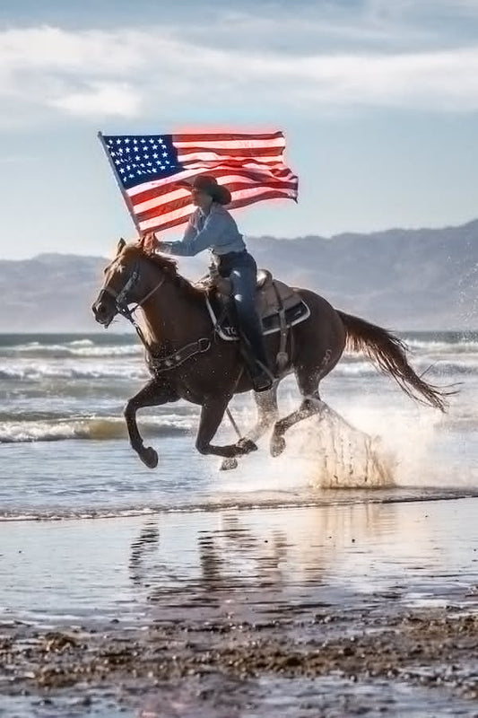 Celebrate Independence Day with 4th of July Products for Horses
