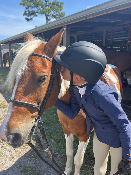 Nurturing a Connection with Your Equine Companion