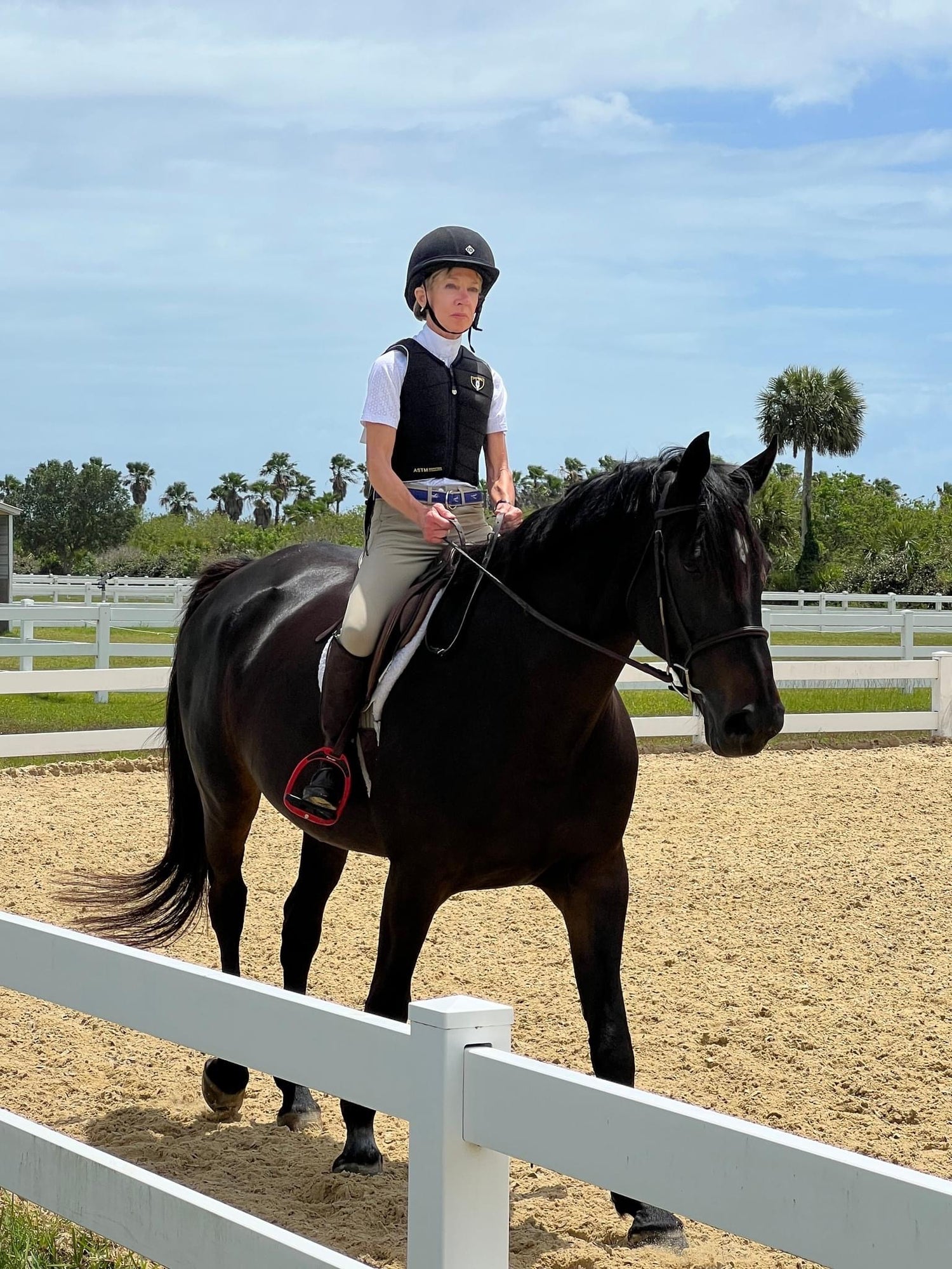 Horse Boarding Vero Beach Equestrian Club