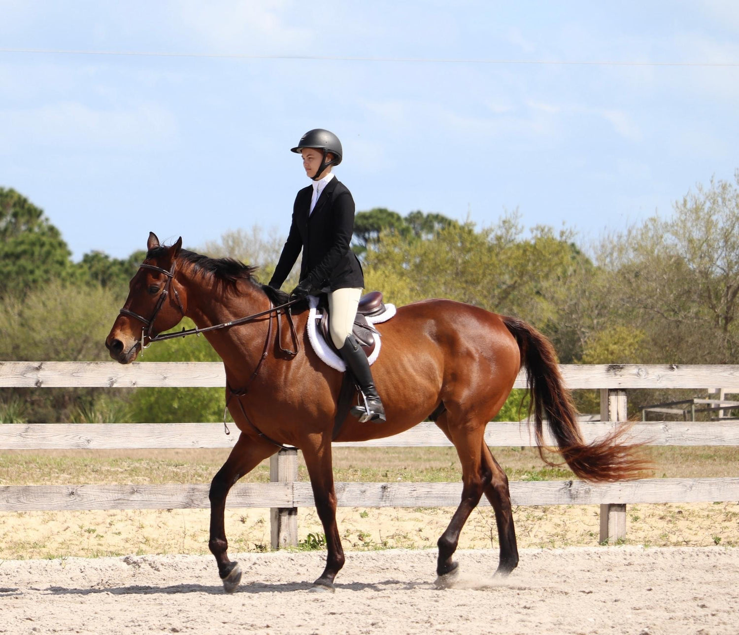 Horse Boarding Vero Beach Equestrian Club