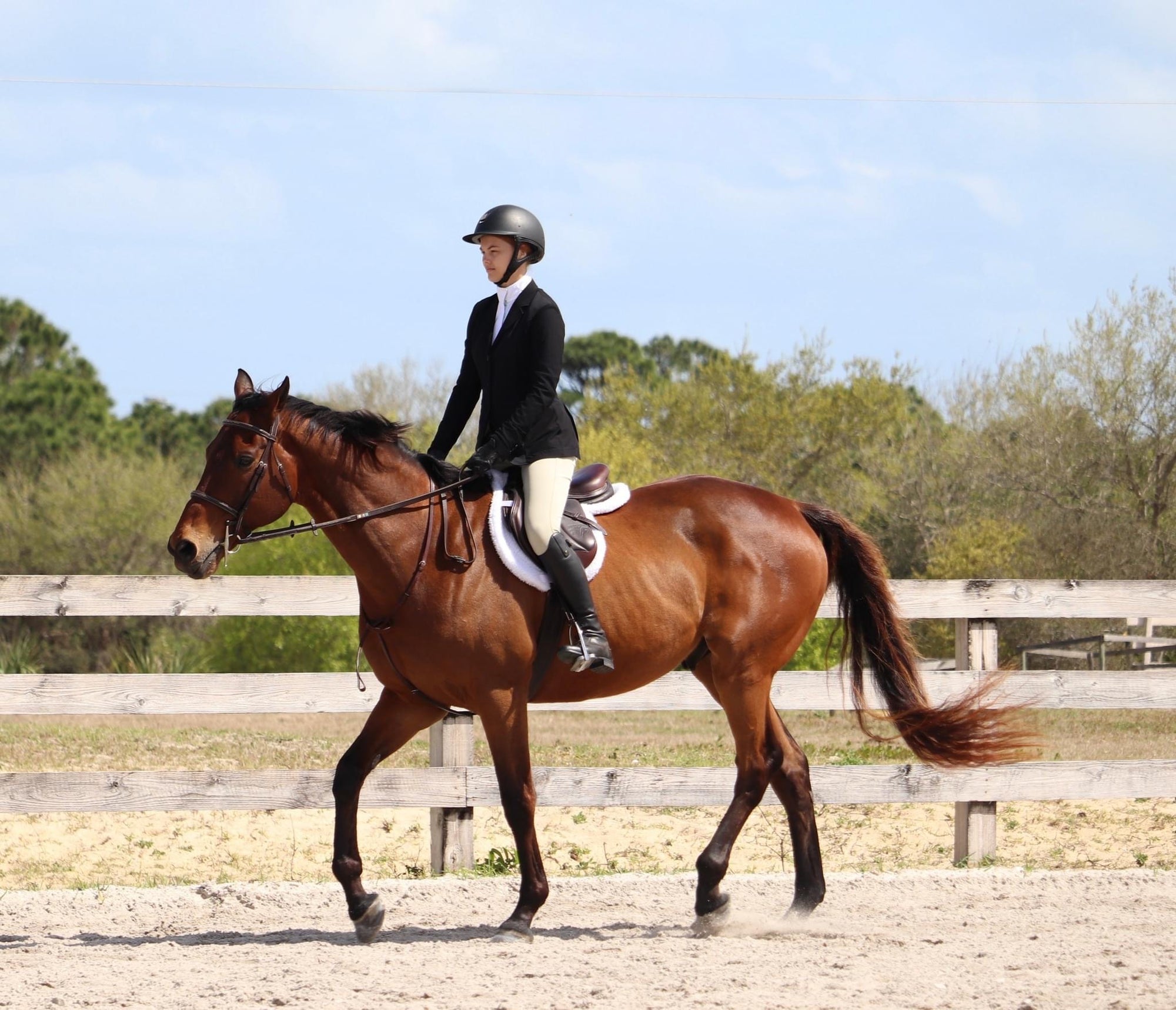 Horse Boarding Vero Beach Equestrian Club