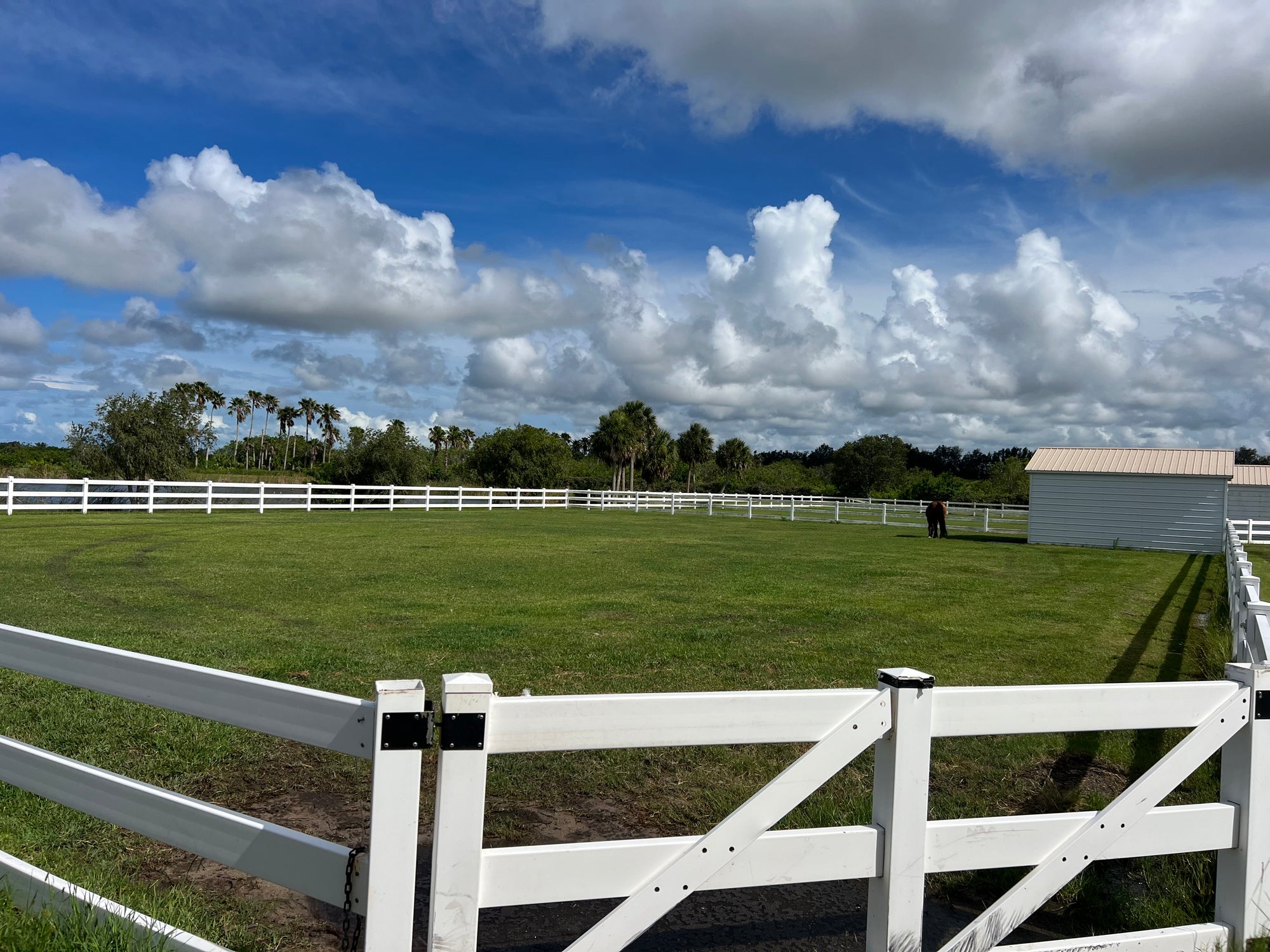Horse Boarding Vero Beach Equestrian Club