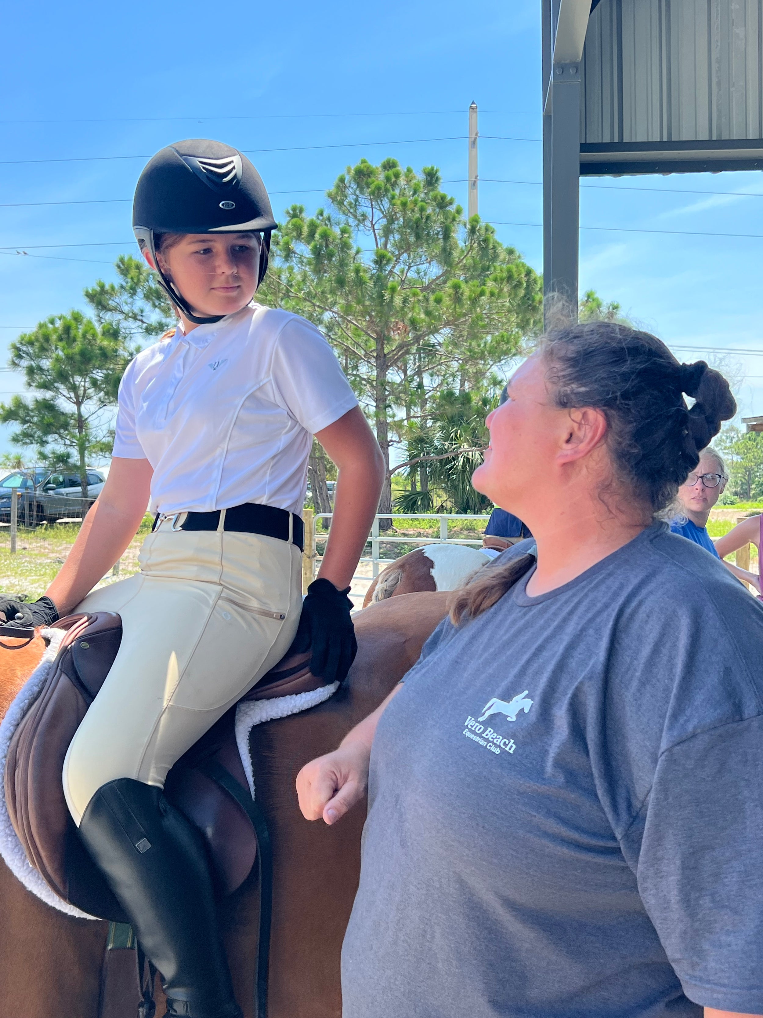 Horse Show Offerings and Opportunities Vero Beach Equestrian Club