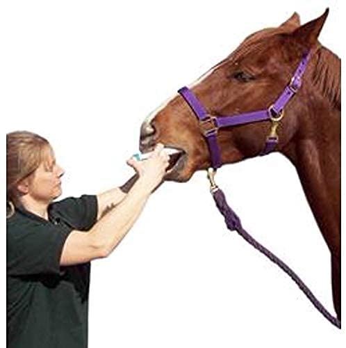 Durvet Duramectin Equine Wormer Paste - 6 Tubes