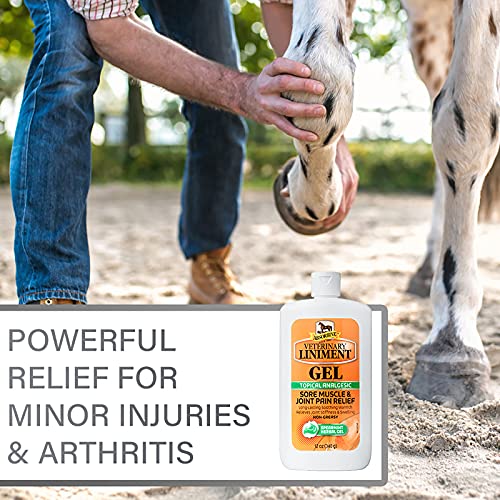 Absorbine Veterinary Liniment Gel, Topical Menthol Analgesic Rub for Sore Muscle, Joint & Arthritis Pain Relief, 12oz Bottle 2-Pack