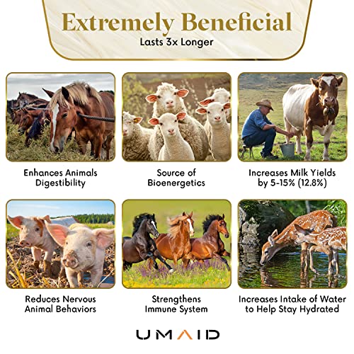 UMAID Himalayan Salt Lick 6 lbs On Rope for Horse, Deer, Goat, and Livestock Animals - Himalayan Salt Block 2 Pack