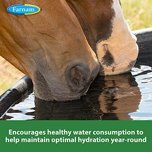 Farnam Apple Elite Horse Electrolyte Powder, Replaces minerals lost in sweat during exercise, extreme weather & stressful conditions, 5 lb., 40 day supply