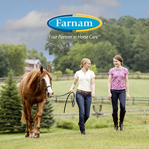 Farnam Sand Clear for Horses Natural Psyllium Crumbles, Veterinarian recommended to support the removal of sand & dirt from the ventral colon, 10 lbs., 32 scoops