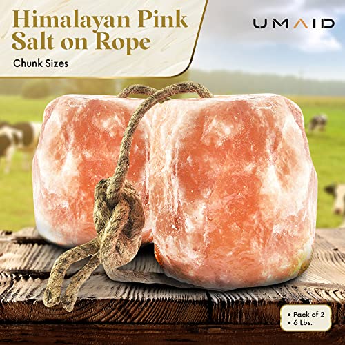 UMAID Himalayan Salt Lick 6 lbs On Rope for Horse, Deer, Goat, and Livestock Animals - Himalayan Salt Block 2 Pack