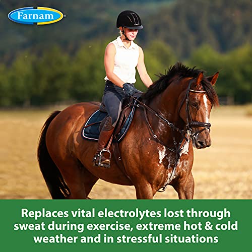 Farnam Apple Elite Horse Electrolyte Powder, Replaces minerals lost in sweat during exercise, extreme weather & stressful conditions, 5 lb., 40 day supply